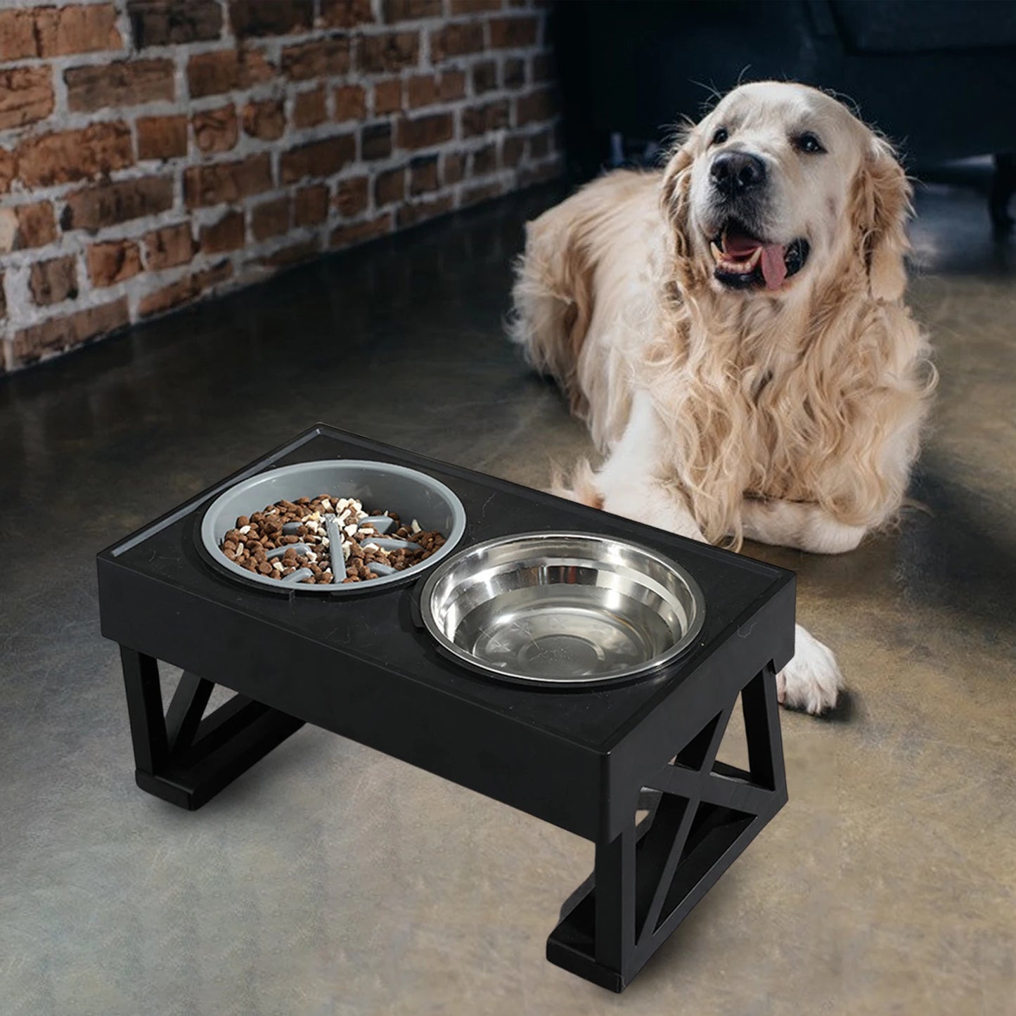 Elevated Dog Bowls Feeding Station